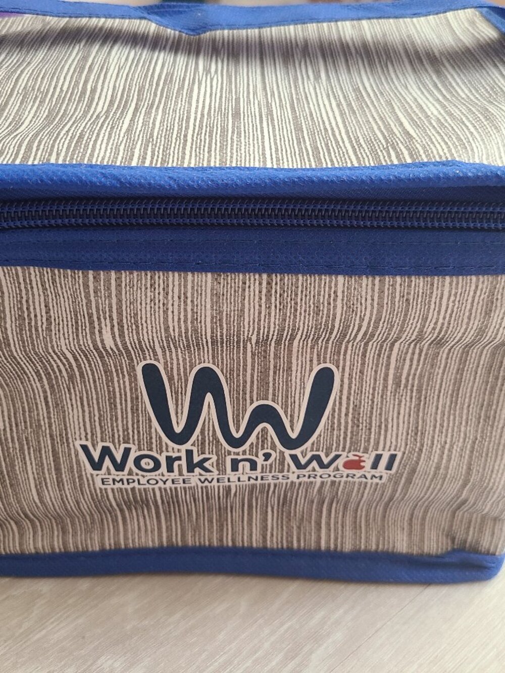 Insulated mini cooler